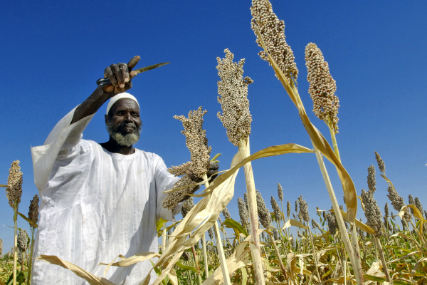 Appels de scientifiques pour les biotechs en Afrique